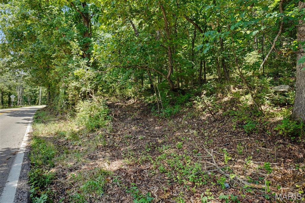 Lewis Estate - Land