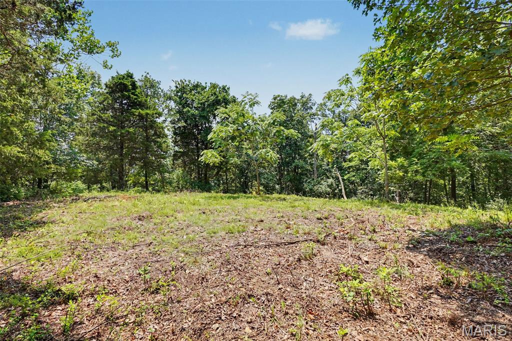 Lewis Estate - Land