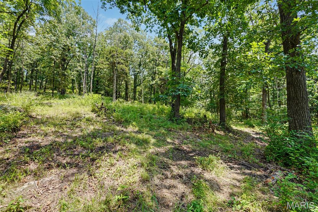 Lewis Estate - Land