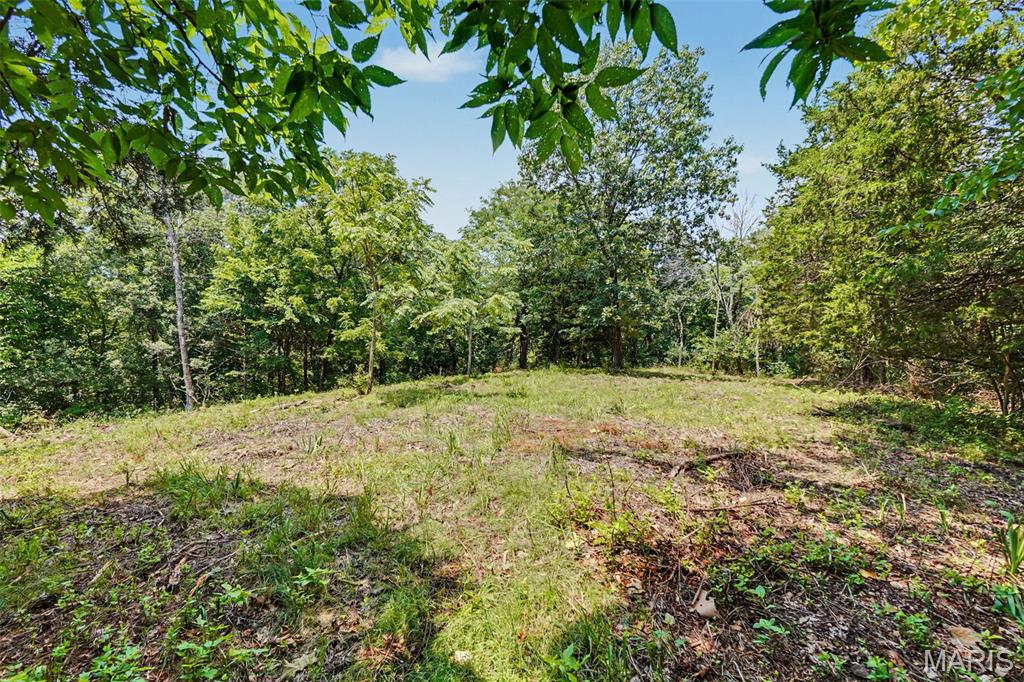 Lewis Estate - Land