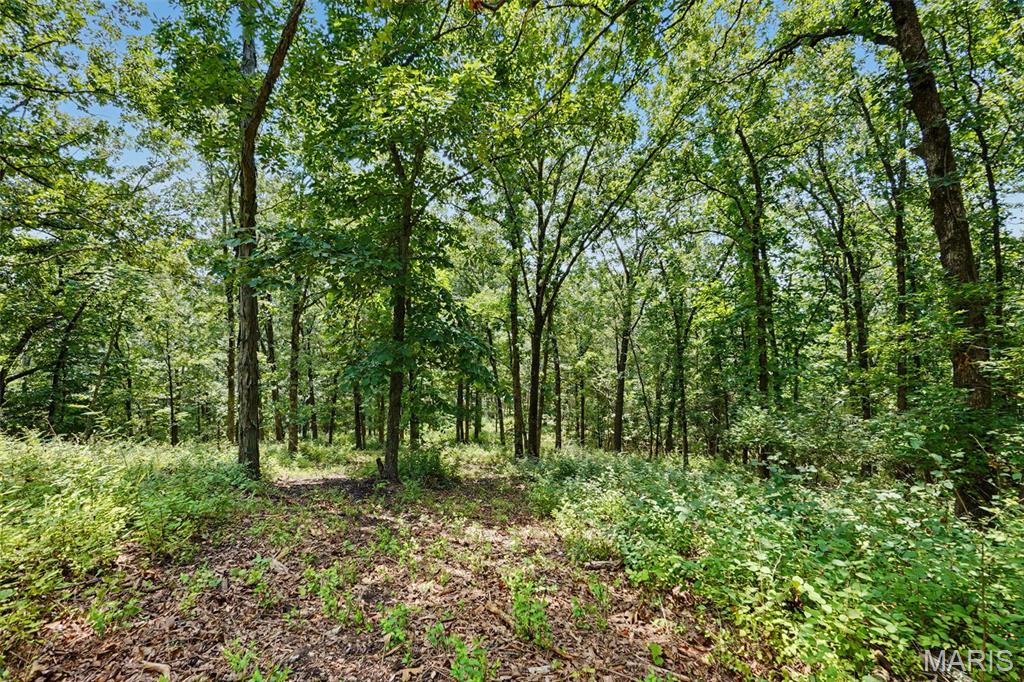 Lewis Estate - Land