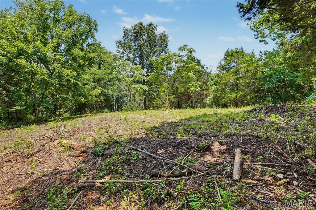 Lewis Estate - Land
