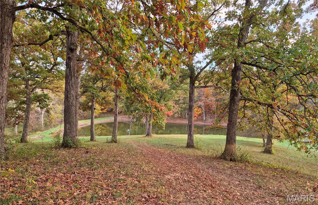 15+/- Acres of Scenic, Ready-to-Build Land. Discover the perfect blend of privacy and convenience on this beautiful property featuring underground electric and county water already in place. The land is graced with mature trees, a shared pond, and breathtaking views—an ideal backdrop for your dream home. Protective deed restrictions help preserve the integrity of the area, allowing for one site-built home of at least 1,200 sq ft and prohibiting mobile/modular homes, hog confinement operations, junkyards, ATV or race tracks, and logging (with the exception of clearing for your homesite). Outdoor enthusiasts will appreciate the exceptional wildlife, including abundant turkey and trophy whitetail bucks. Additional acreage is available for those seeking more space. This is a rare opportunity to own a premium piece of country paradise! Agent Owned.