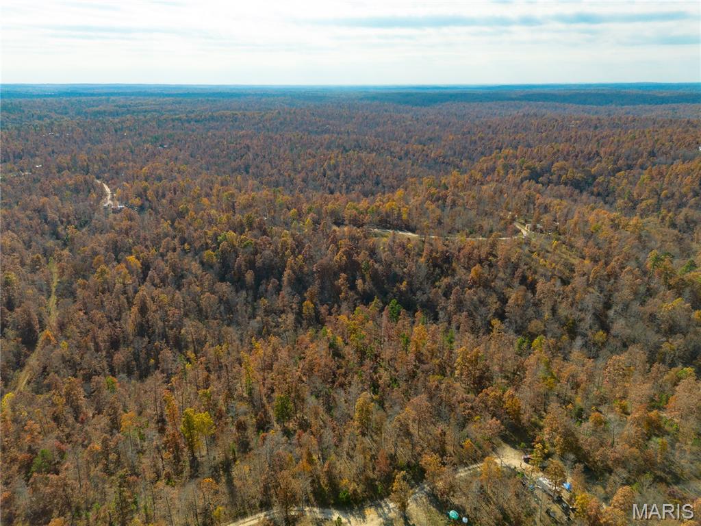 Borgmann's Hollow Subdivision - Land