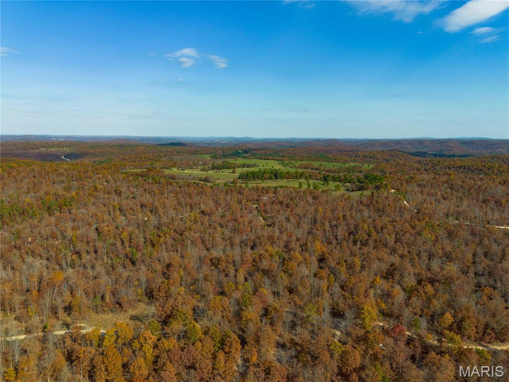 Borgmann's Hollow Subdivision - Land