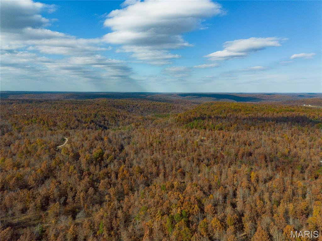 Borgmann's Hollow Subdivision - Land