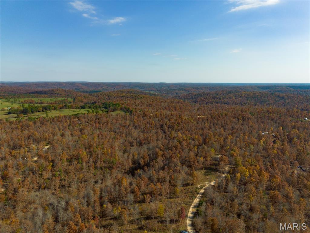 Borgmann's Hollow Subdivision - Land