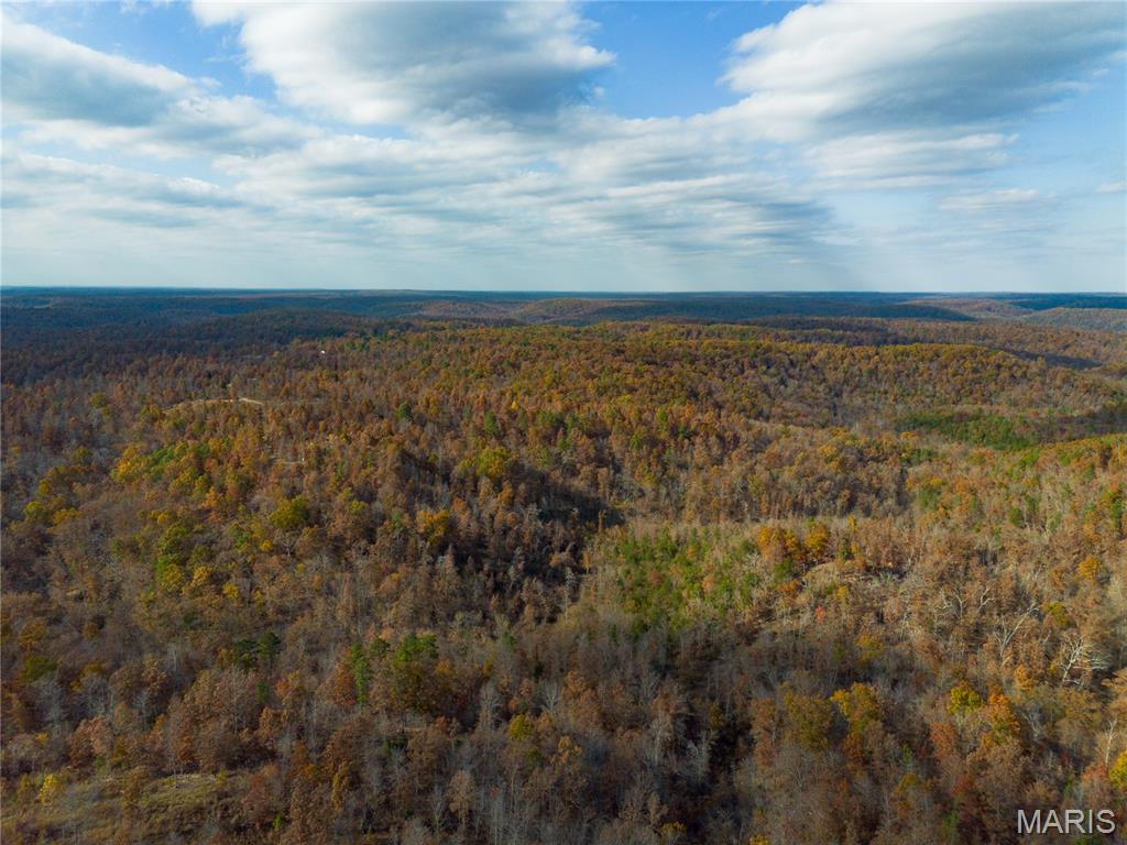 Borgmann's Hollow Subdivision - Land