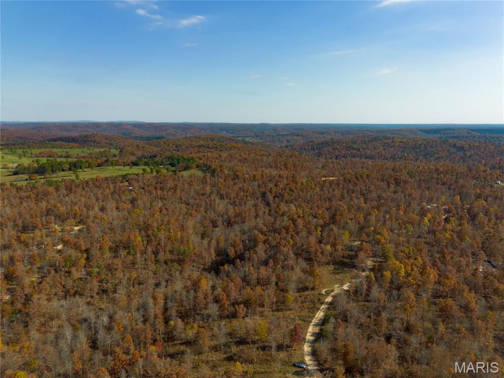 Borgmann's Hollow Subdivision - Land