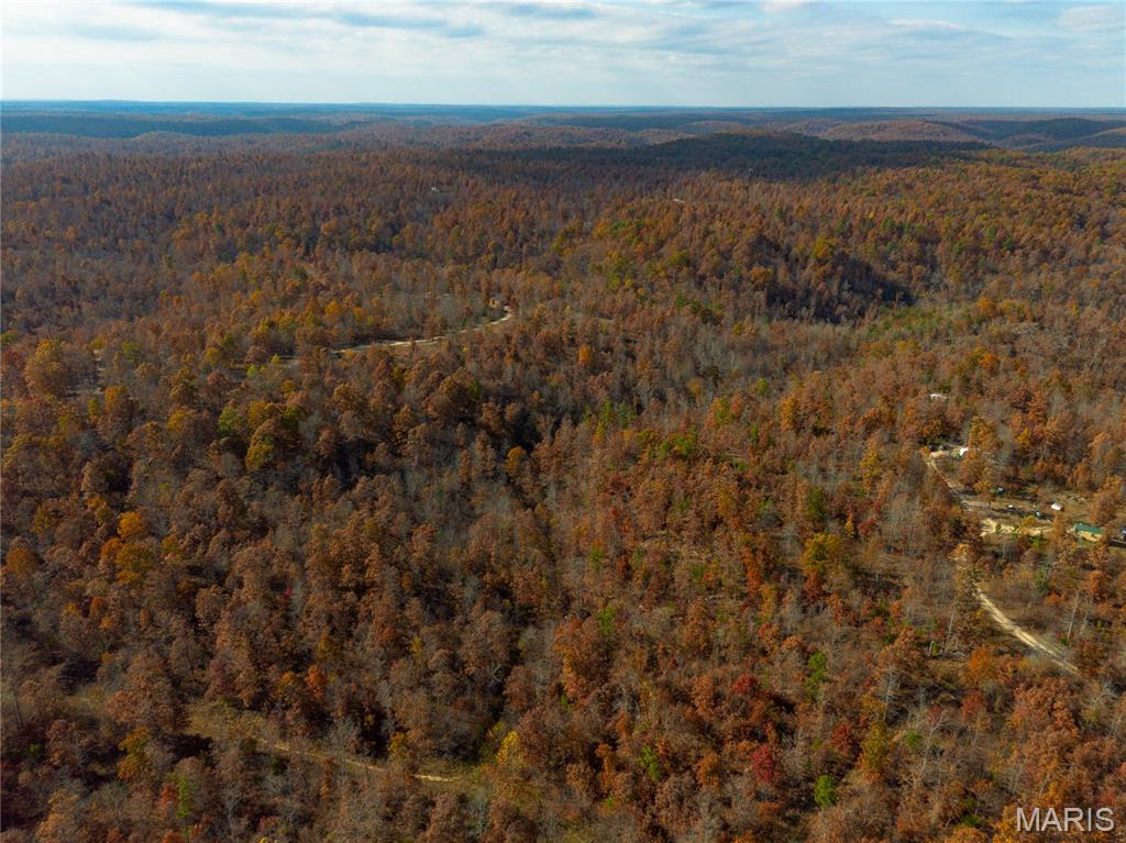 Borgmann's Hollow Subdivision - Land