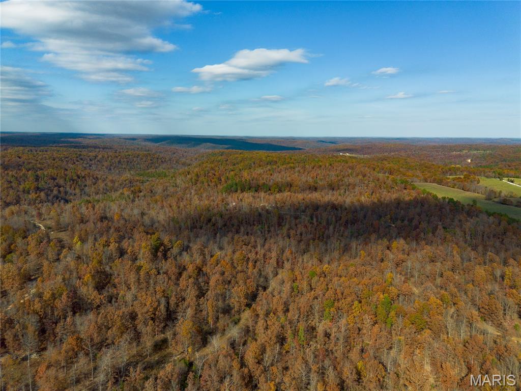 Borgmann's Hollow Subdivision - Land