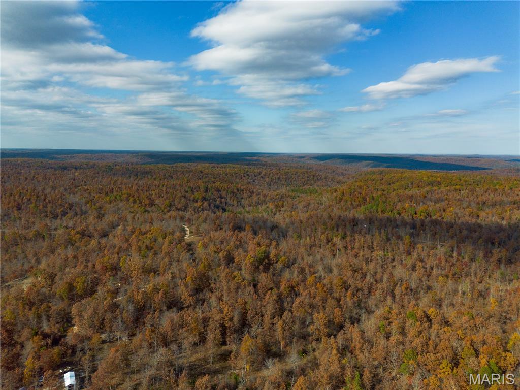 Borgmann's Hollow Subdivision - Land
