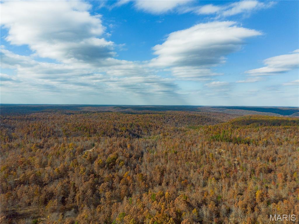 Borgmann's Hollow Subdivision - Land