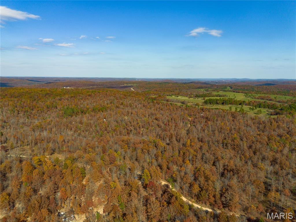 Borgmann's Hollow Subdivision - Land