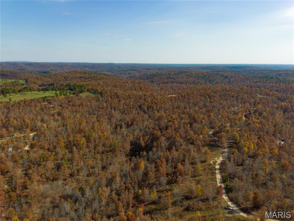 Borgmann's Hollow Subdivision - Land