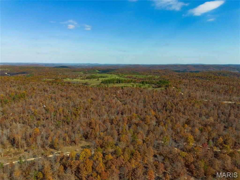 Borgmann's Hollow Subdivision - Land