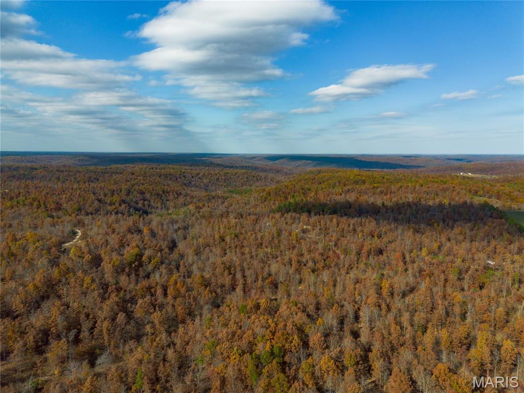 Borgmann's Hollow Subdivision - Land
