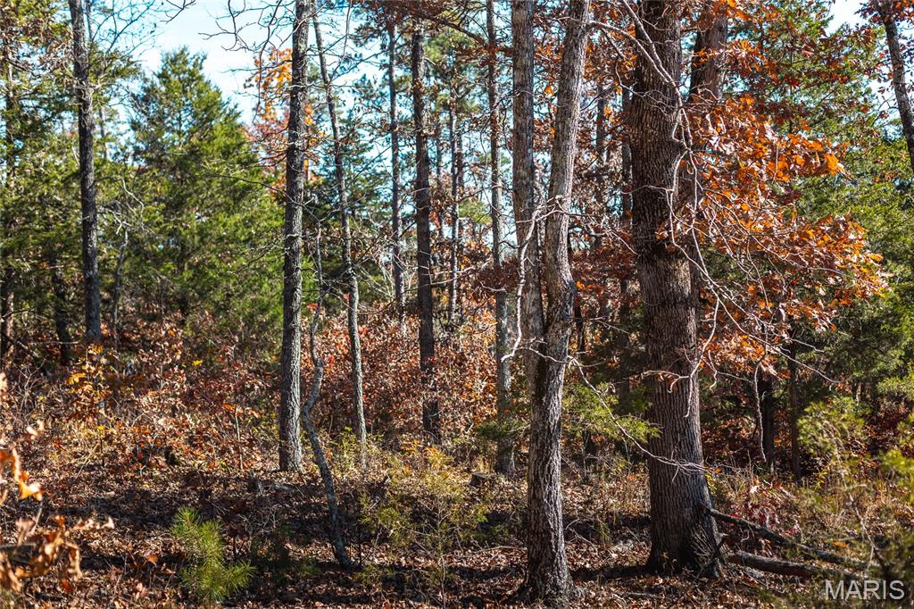 Borgmann's Hollow Subdivision - Land