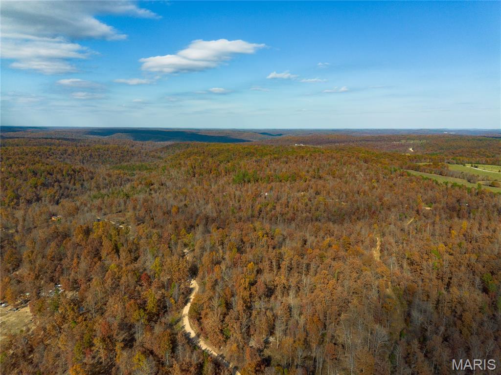 Borgmann's Hollow Subdivision - Land