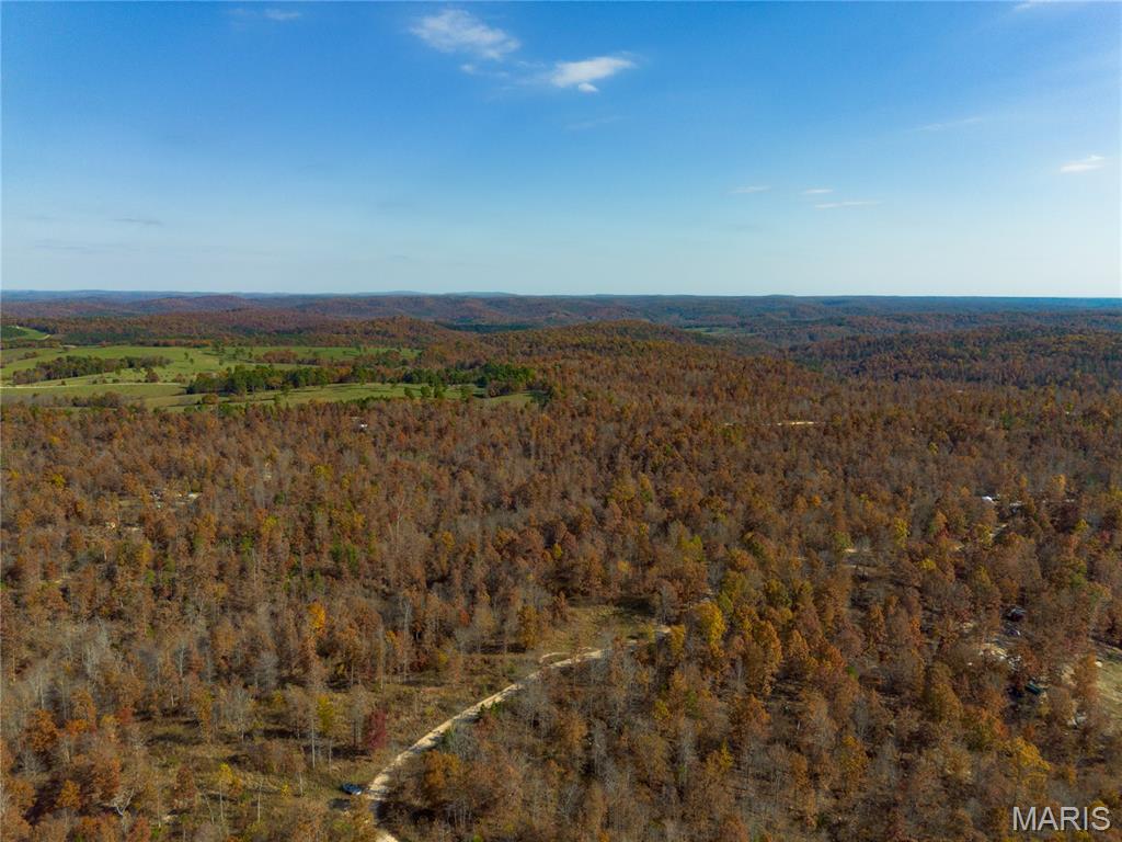 Borgmann's Hollow Subdivision - Land