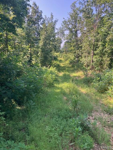 This 5.041 acres has deeded gravel road access, sits in a quiet valley and has a small spring-fed stream running along one boundary, and sits only a about 1/4 of a mile from Mark Twain National Forest.
It's a hunting or a recreational paradise. Or use is simply as a great home or cabin site.
You'll have a deeded access road to the property. This property comes with NO restrictions.
Hunt, camp, build, ride ATVs on your own land, or you're just a short hike or drive from the picturesque and pristine 22,176-acre section of Mark Twain National Forest ... public ground where you can also hunt, ride and explore. All this, and only about two miles a paved state road. 
This property has a deeded access road on the northern end of the property, but the property boundary on the north is a small spring-fed stream.
Use this wooded, secluded property as a base camp for adventure or build your forever home and live out your days in secluded bliss. This and surrounding land is teeming with deer, turkey and small game, and the occasional feral hog or maybe a black bear. There is additional acres available which adjoin this piece if interested.
