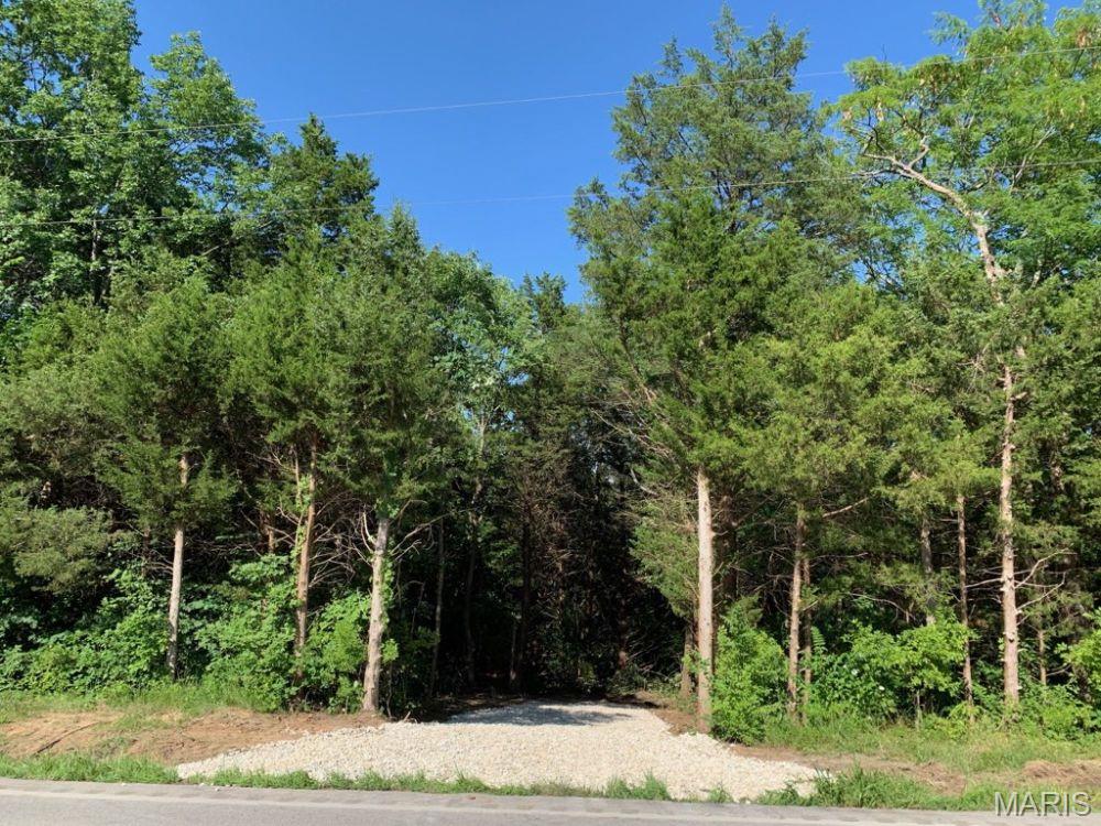 Discover this 17+/- acre wooded property in Hillsboro. It directly borders the 225-acre Valley View Glades  conservation area and boasts approximately a quarter-mile of frontage along State Road B. Surveyed in 2020, with details readily available upon request. Conveniently located near the St. Louis metro area, offering potential for residential, investment, or recreational use. Schedule an appointment today to view this beautiful property.