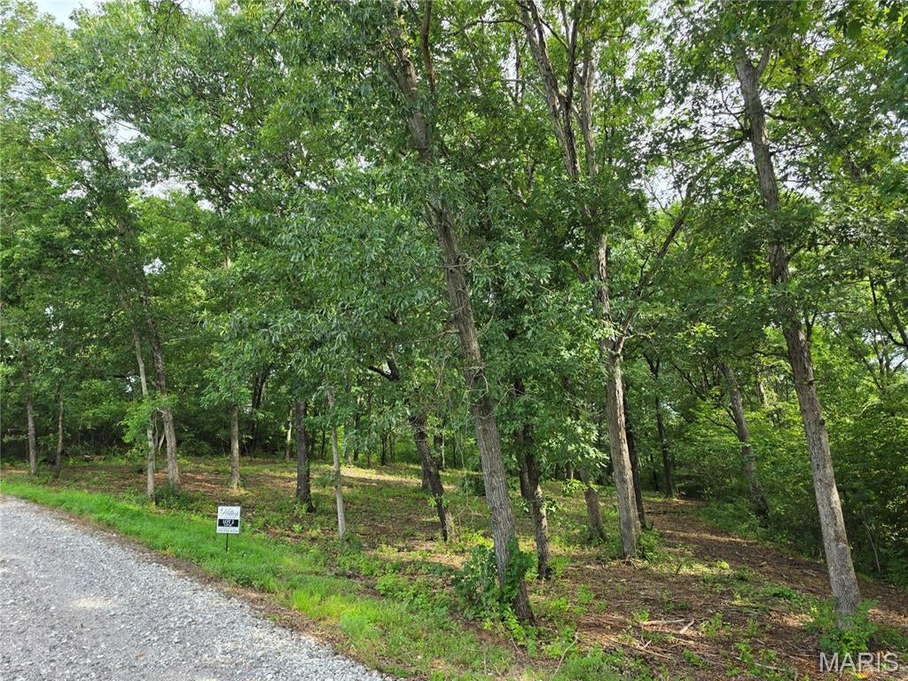 1Lot 2 - 5.19 Acres | Private Estate Setting
One of nine secluded homesites located off Dietrich Road, offering the perfect setting to build your dream home. Bring your own builder or choose from our recommended preferred builders. Lot 2 features 5.19 acres with a walk-out homesite and a partially cleared building area, making it easy to envision your future residence. Showings are by appointment only, as access is via a private road. Community building standards help preserve the quality and character of the development.
Key restrictions include:
Minimum living area: 2,600 SF for ranch homes; 3,000 SF for 1.5-story homes
Minimum roof pitch: 9/12 on front elevations and 7/12 on all other elevations
Minimum 9-foot ceilings and 6-foot-tall windows on front elevations
Front elevations must feature at least 50% brick or stone with decorative shadow board accents
Side-entry garages required
All architectural plans are subject to Trustee review and approval

Building setbacks:
50-foot minimum front and rear setbacks
40-foot minimum side setbacks

Each homesite will require a private well and septic system. Mobile and manufactured homes are prohibited. Additional restrictions include no temporary structures, above-ground pools, livestock, hunting or trapping, and no short-term or long-term rentals. All fencing must be approved by the Trustee.
Roads within the development will be paved by end of September 2026. Buyers are encouraged to request and review the full Indenture and Restrictive Covenants prior to submitting an offer.
Located in unincorporated St. Charles County and subject to county building, zoning, permitting, and inspection requirements. Served by highly rated Wentzville Schools.

SHOWINGS BY APPOINTMENT ONLY