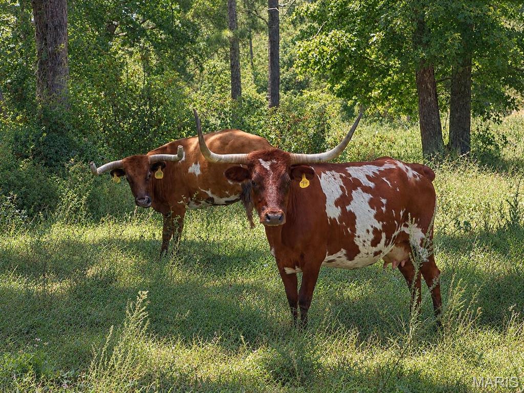 n/a - Farm