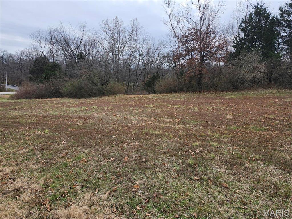 The Estate At Matteson Park #1 - Land