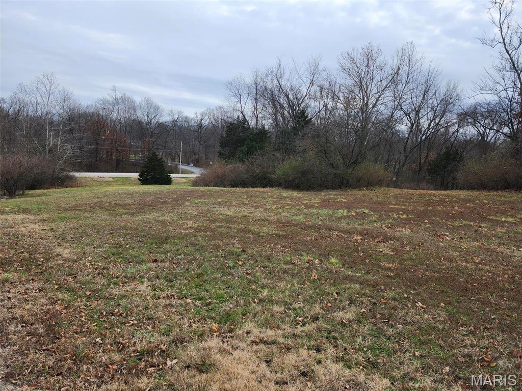 The Estate At Matteson Park #1 - Land