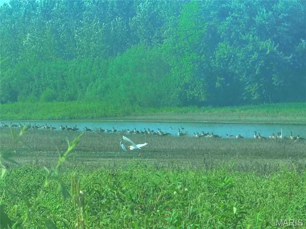 None - Farm
