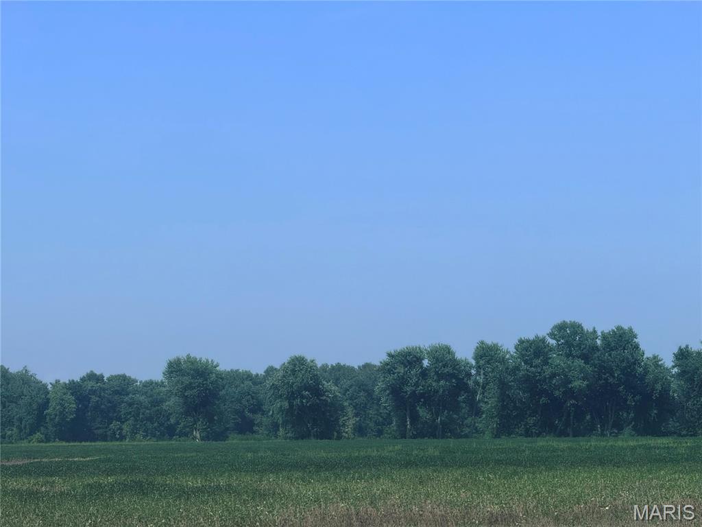 None - Farm