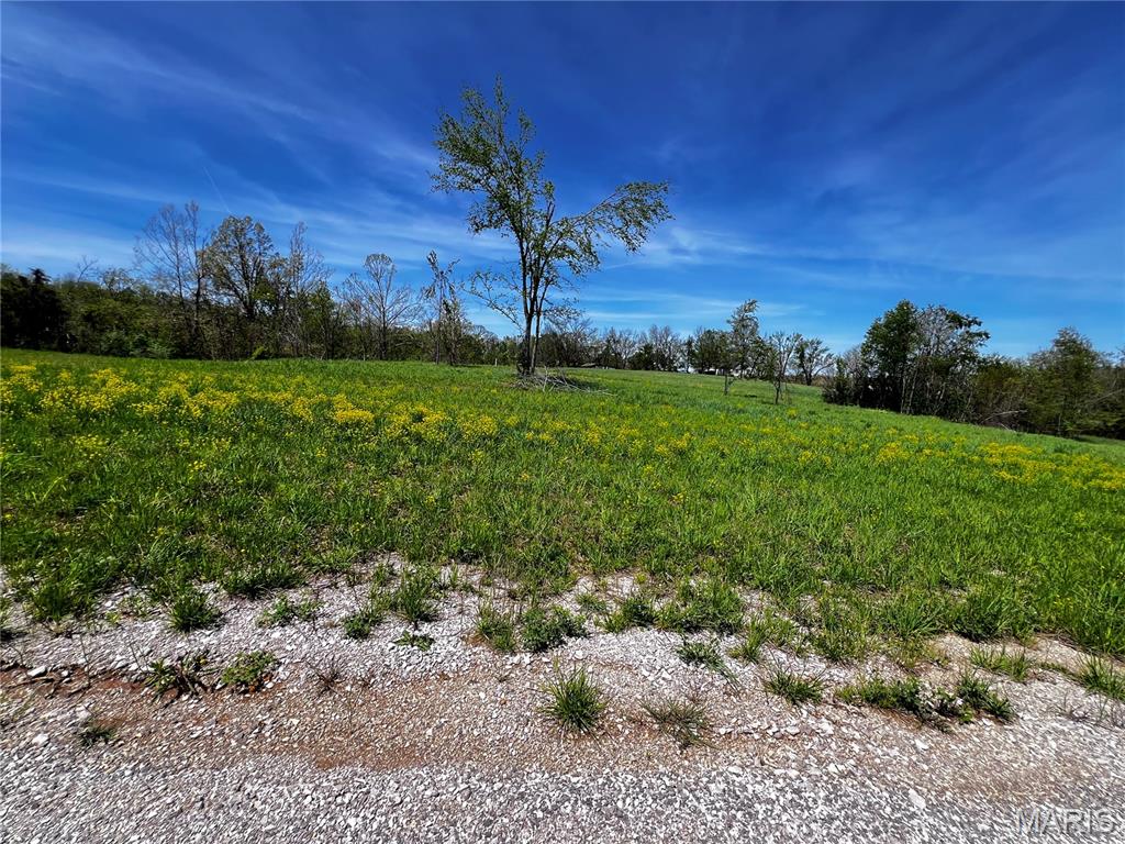 Build Your Dream Home in the Perfect Location! Looking for the ideal place to build without sacrificing convenience? This beautiful 1.37 +/- acre lot offers the best of both worlds—peaceful country living just outside the city limits with all the amenities you need only minutes away! Offers: Level terrain with a gentle slope—perfect for your custom home. Along with easy access to I-55 for commuters, close to grocery stores, restaurants, shopping and everyday conveniences.  Plenty of room to create your beautiful home, shop, garden and outdoor space you’ve always wanted. Your dream home starts with the perfect piece of land—come see it today!