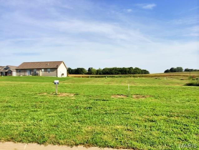 Lot 15 is an interior lot in Bluff Meadows.  Tucked away by woods in the secluded entrance is Bluff Meadows in Valmeyer.  With so few homes for sale in Valmeyer, it is a great time to custom build your own home and get exactly what you are looking for.  You can bring your own builder.  Minimum square footage for a home on this lot is 1350 sq. ft. TAP IN FEES PAID BY VALMEYER to SAVE YOU MONEY!  Valmeyer is high up in the Illinois Ozark bluffs and a great community with a beautiful - easy - no stop light commute to St. Louis/about 20 minutes from South County.  Or 15 minutes to Rt 3 in Columbia.  Bluffview also offers:  Sidewalks, Street Lights, Fiber Optic & Public Utilities. There are other lots available that are Walkout, Corner or Daylight Window lots.