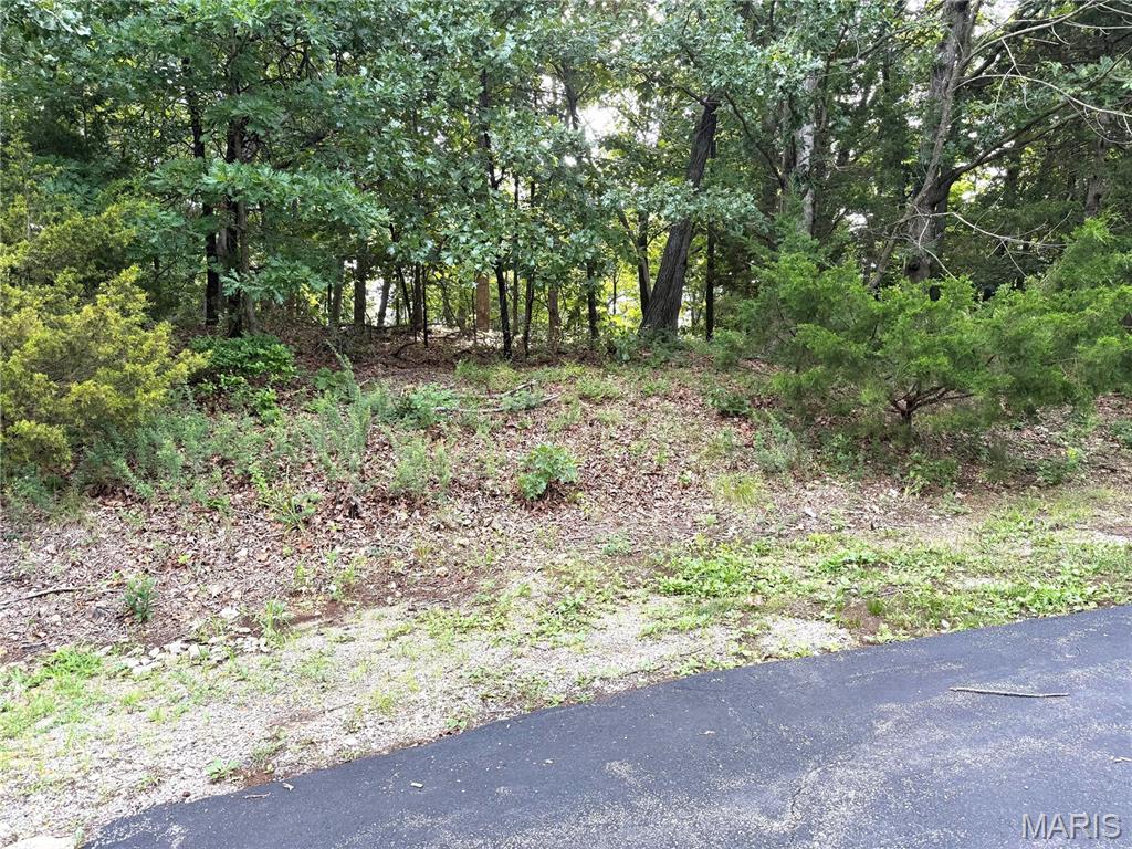 Hidden Valley Forest - Land