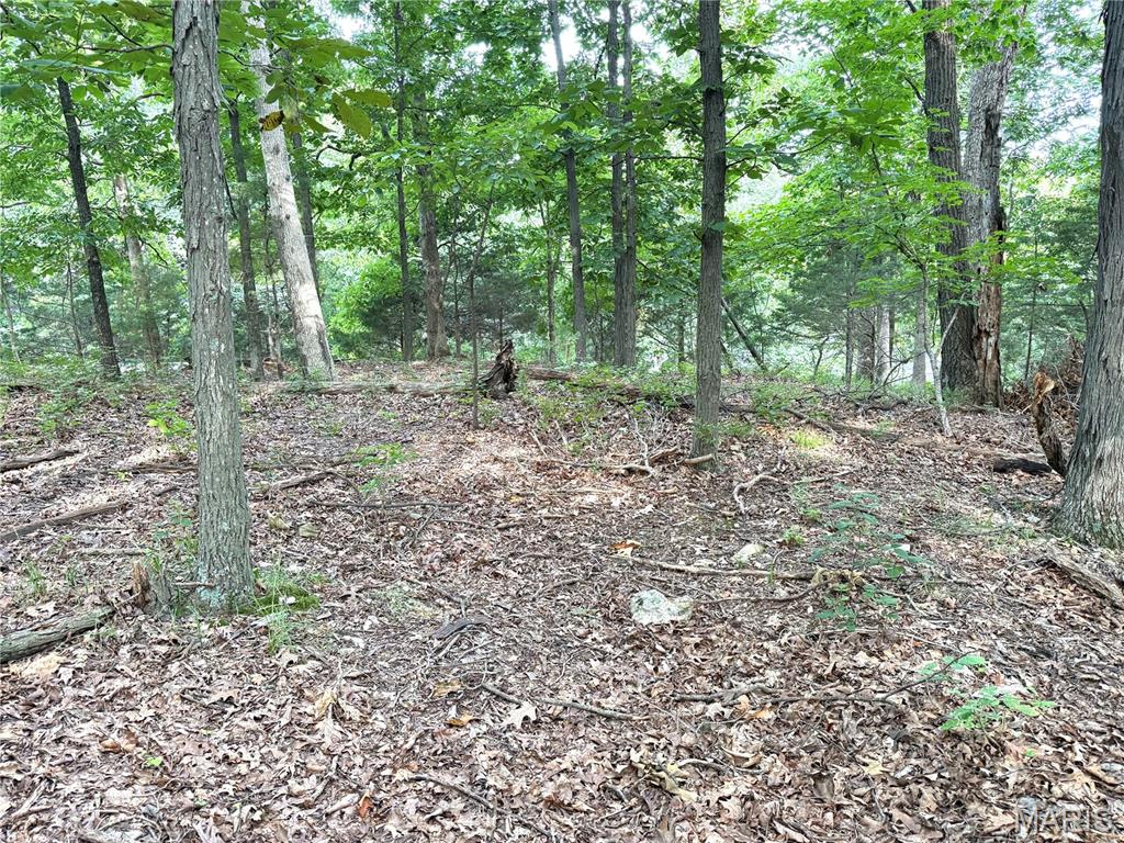 Hidden Valley Forest - Land