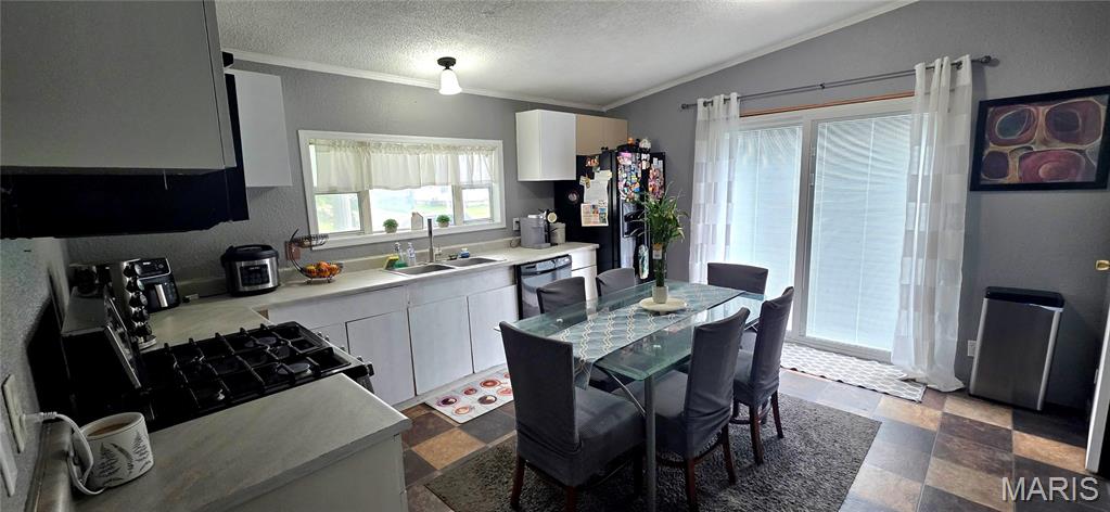 Village/Steeleville - Residential