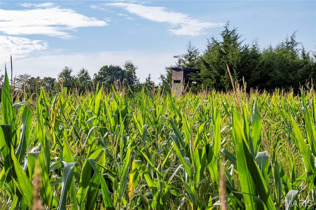 N/A - Farm