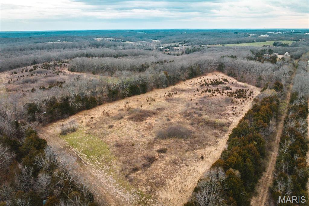 105 m/l acres in Franklin County MO. This property has a great balance of pasture & Timber ground making a perfect set up for a farm or potential building site with the gorgeous country setting and views.  The pastures have been used for corn and hay in the past and could potentially be reworked to produce again. The property sits just off the highway for convenient access and easy access to town for all your amenities.  Come check out this beautiful property today! Tract to be surveyed and must be approved by Franklin County zoning. Property will be accessed from New Highway 50. No Road or driveway in place.