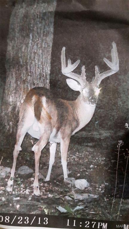 None - Farm