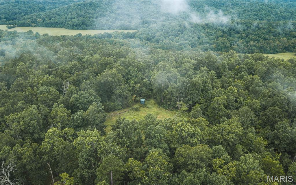 None - Farm