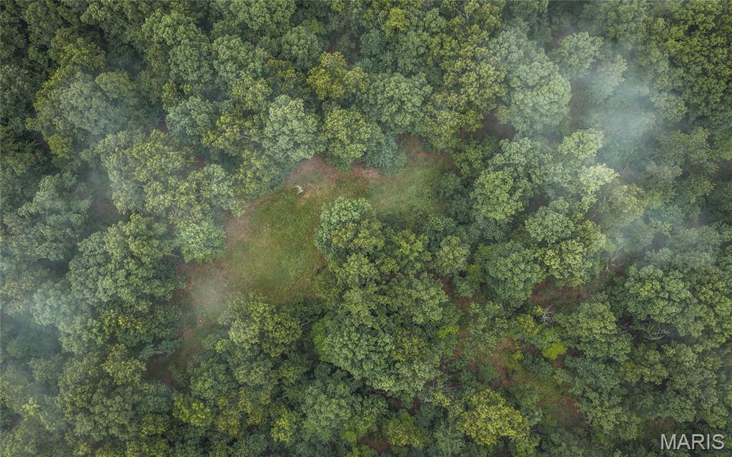 None - Farm