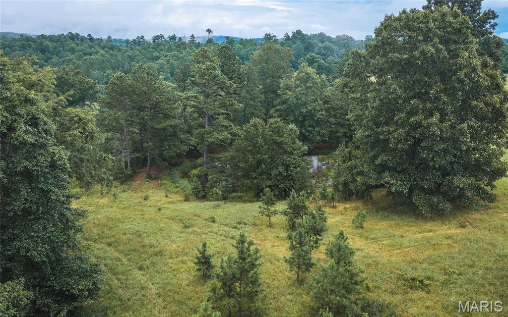 None - Farm