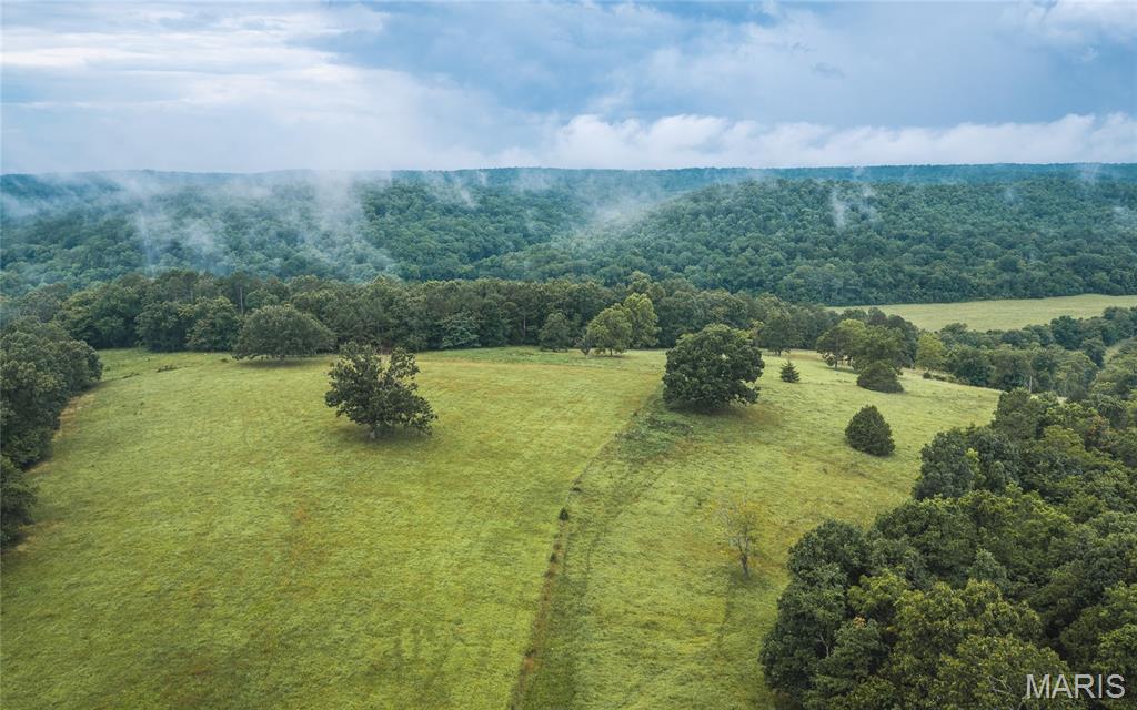 None - Farm