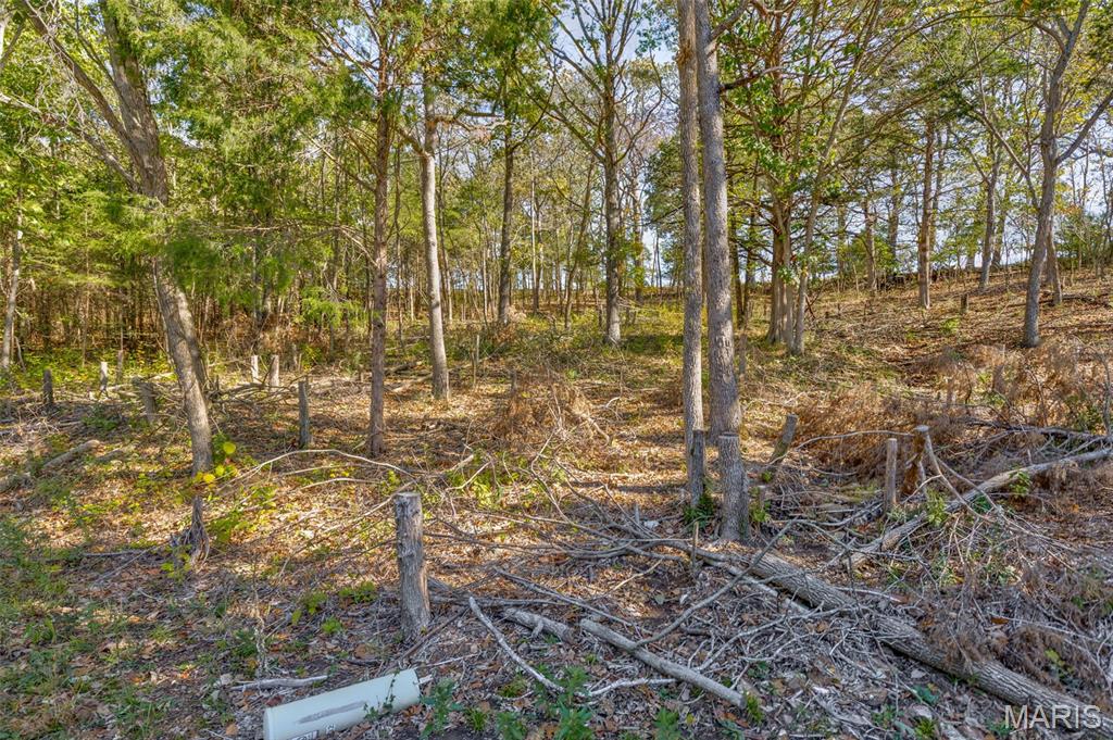 Build your dream home overlooking the golf course with these three combined lots totaling .69 acres in the highly sought-after Raintree Plantation community! Perfectly situated along Hole 8 of the golf course, this property offers a scenic backdrop and a peaceful setting within this beautiful gated community. The lots are ready for your vision, with public water, sewer, and electric hookups available for added convenience. Located in the Hillsboro School District, you’ll enjoy both comfort and community amenities in one of Jefferson County’s most desirable neighborhoods. HOA Association dues are $513 & $271 for Country Club (for pool, clubhouse, and restaurant) annually.