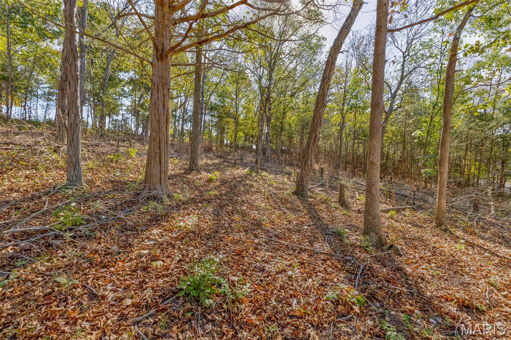 Raintree Plantation Sec 11 - Land
