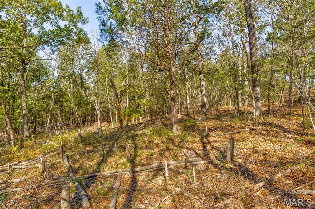 Raintree Plantation Sec 11 - Land