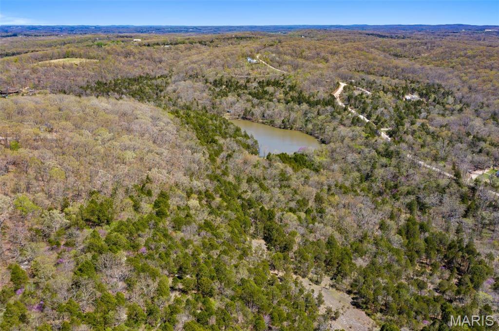 Big Woods - Land