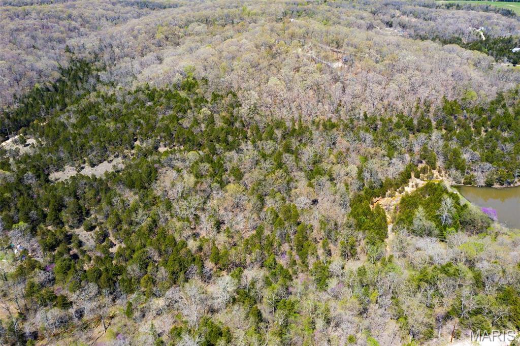 Big Woods - Land