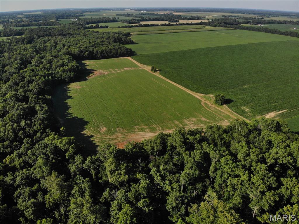 Stevenson Twp - Land